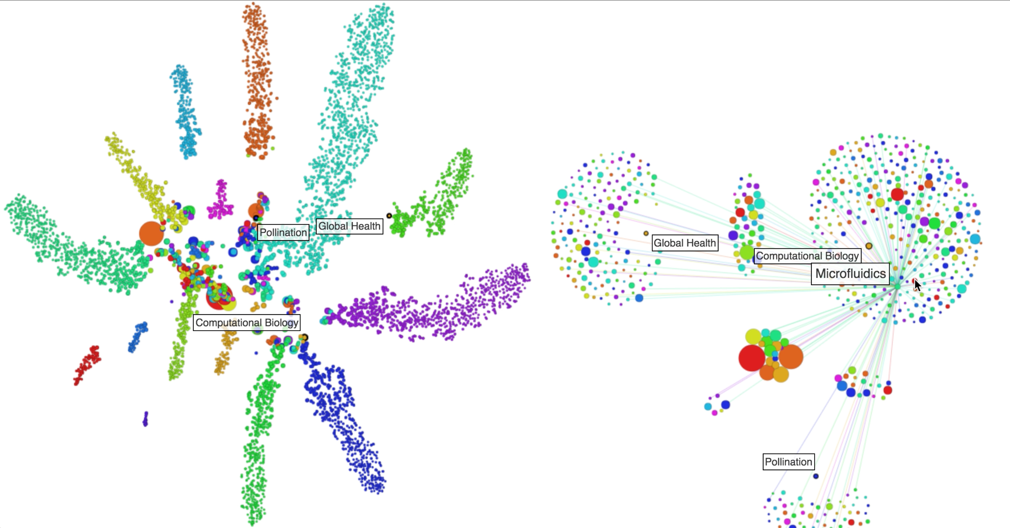 Network Explorer